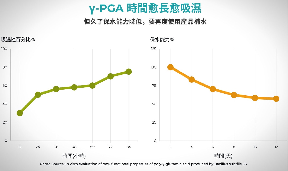 γ PGA 吸水